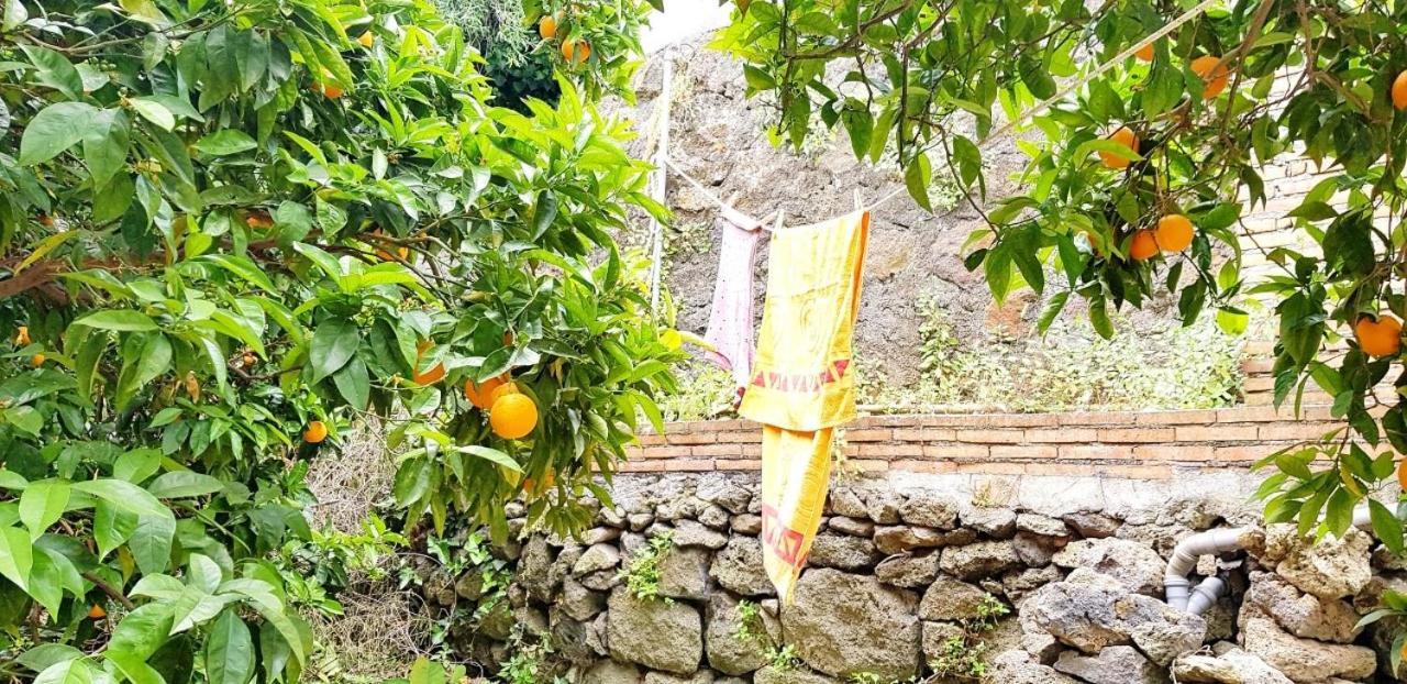 阿奇雷亚莱L'Aranceto别墅 外观 照片